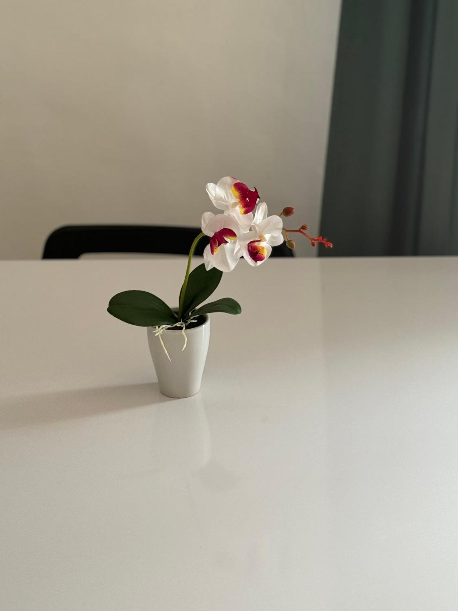 Torino Natura In Centro Eksteriør bilde