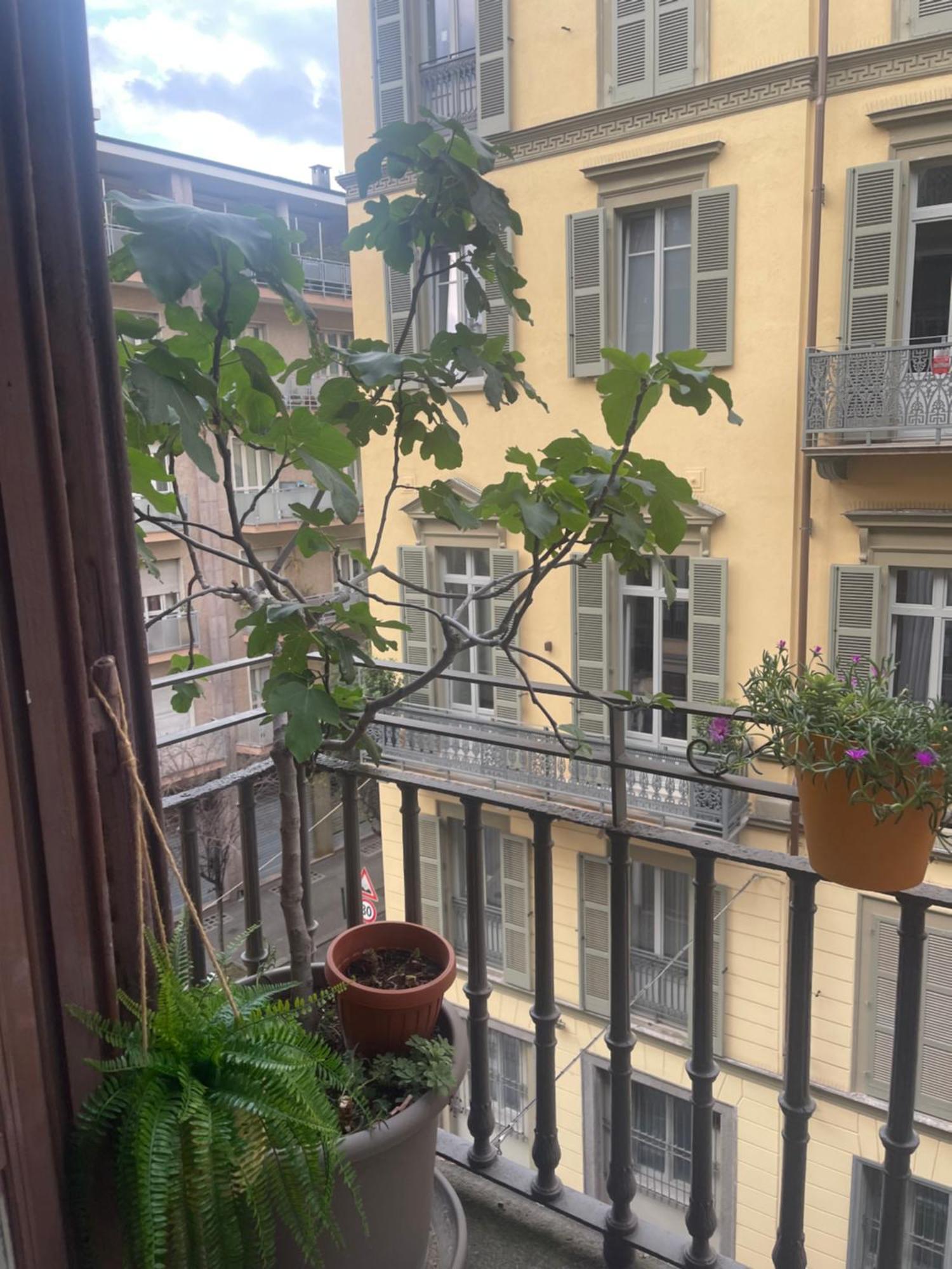 Torino Natura In Centro Eksteriør bilde